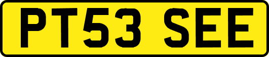 PT53SEE