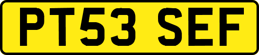 PT53SEF