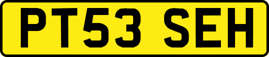PT53SEH