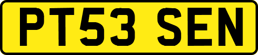 PT53SEN