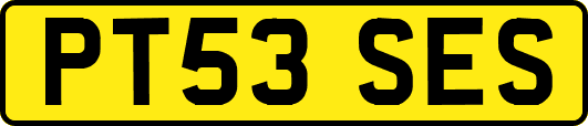 PT53SES