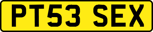 PT53SEX