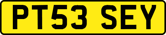 PT53SEY