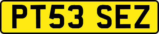 PT53SEZ