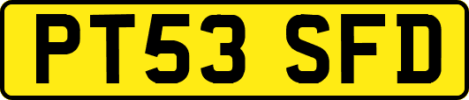 PT53SFD