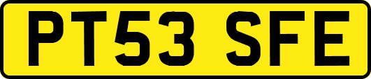 PT53SFE