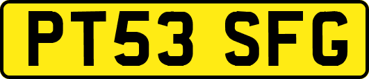 PT53SFG