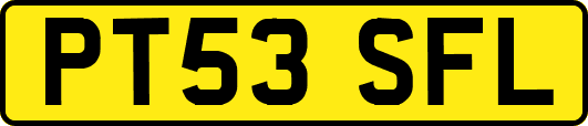 PT53SFL
