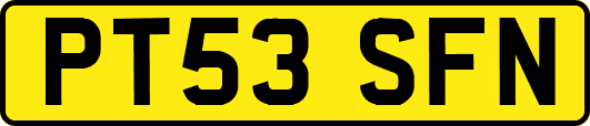 PT53SFN