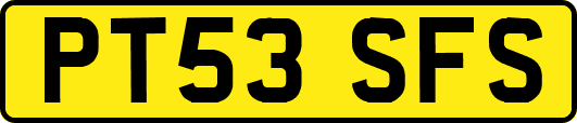PT53SFS