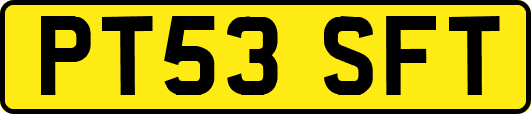 PT53SFT