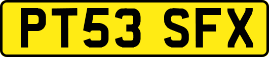 PT53SFX