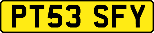 PT53SFY