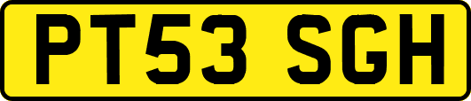 PT53SGH