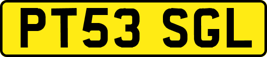 PT53SGL