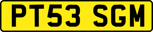 PT53SGM