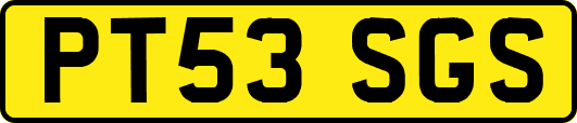 PT53SGS