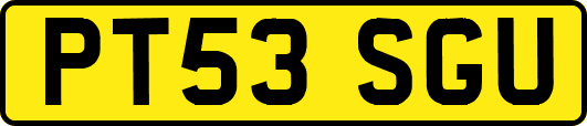 PT53SGU