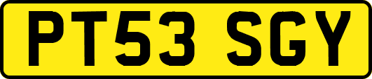 PT53SGY