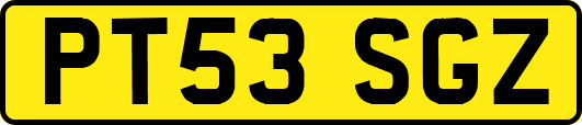 PT53SGZ