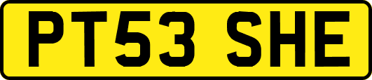 PT53SHE