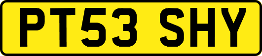 PT53SHY
