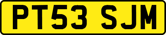 PT53SJM
