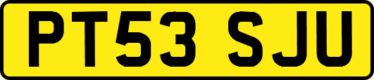PT53SJU