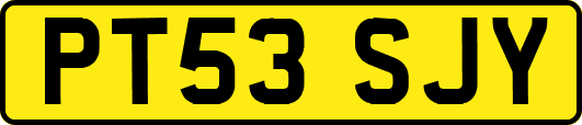 PT53SJY