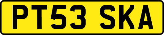 PT53SKA
