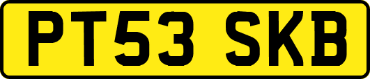 PT53SKB
