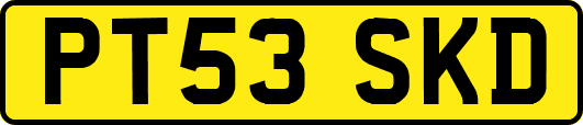 PT53SKD