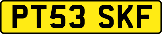PT53SKF