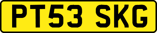 PT53SKG