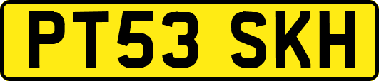 PT53SKH