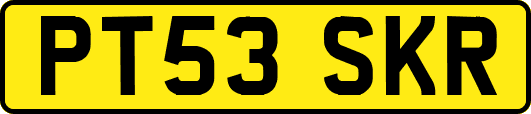 PT53SKR