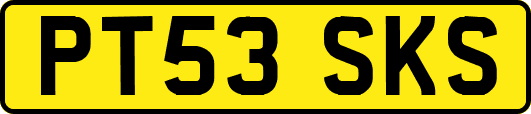 PT53SKS