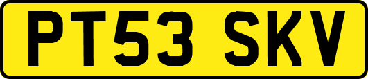PT53SKV