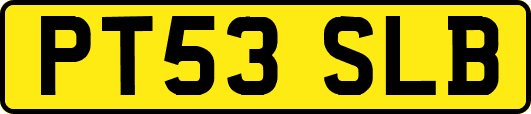 PT53SLB