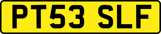 PT53SLF