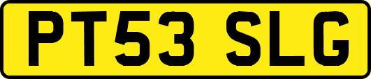 PT53SLG