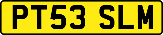 PT53SLM