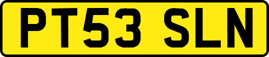 PT53SLN