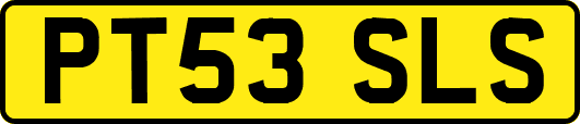 PT53SLS