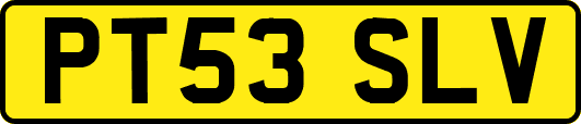 PT53SLV
