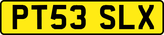 PT53SLX