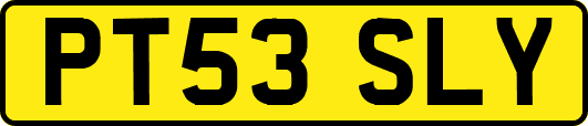 PT53SLY