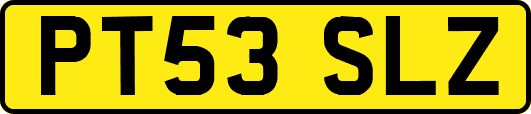 PT53SLZ