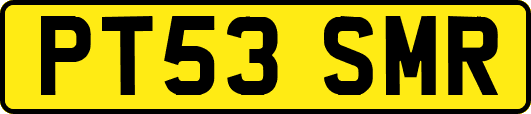 PT53SMR