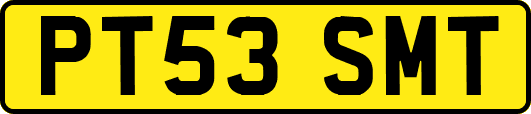PT53SMT